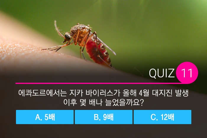 퀴즈