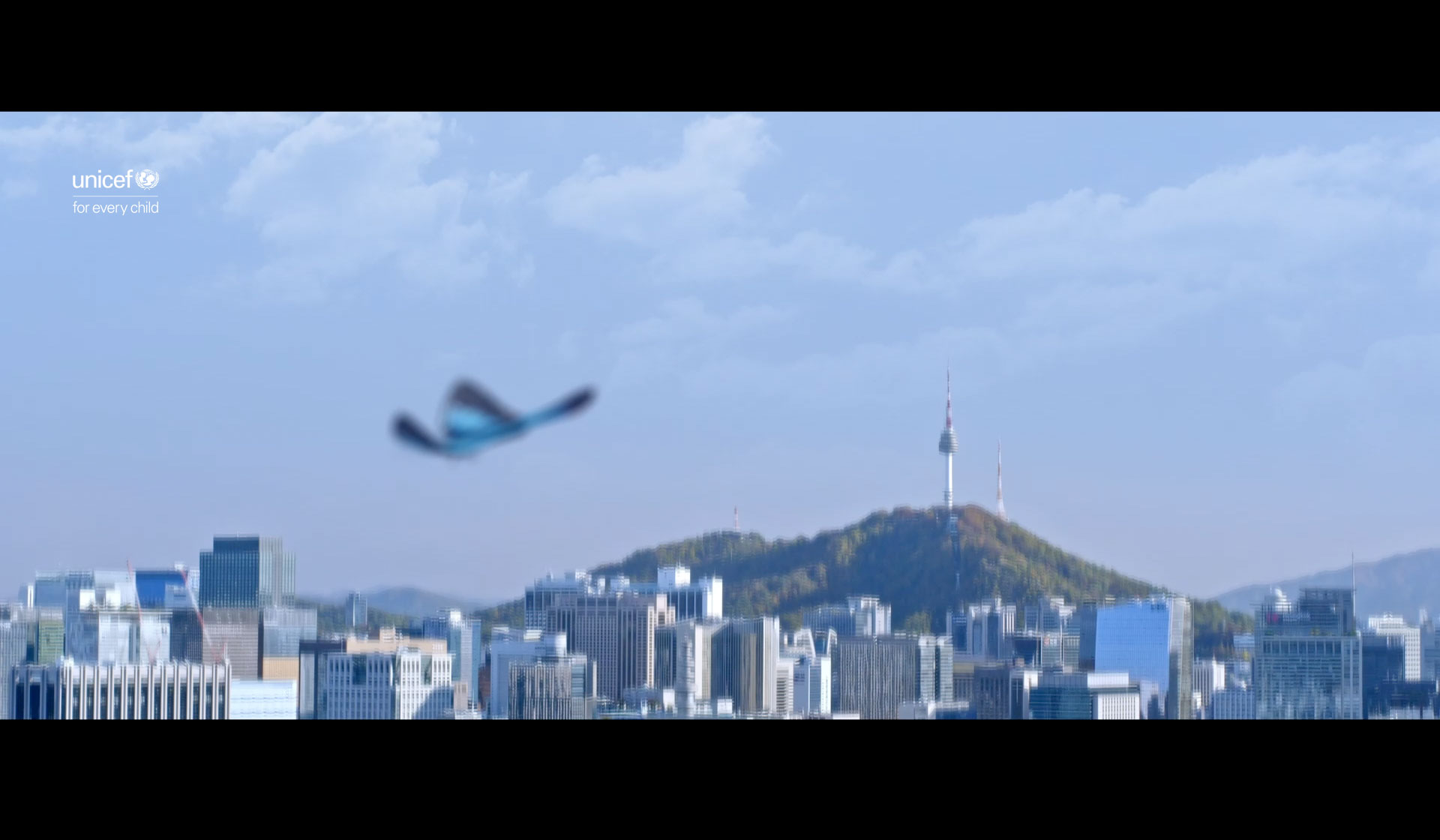 video bg