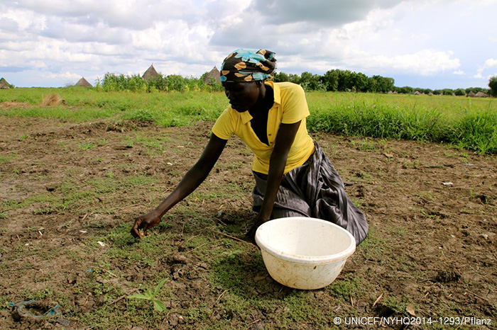 남수단 주민들은 식량난으로 풀을 뜯어 죽을 쑤어 먹고 있습니다.