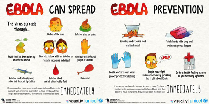 에볼라 바이러스 정보 포스터