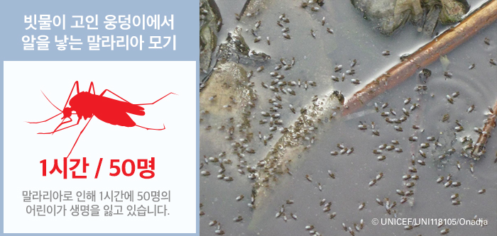 시에라리온, 홍수피해, 재난대응, 수인성질병, 말라리아